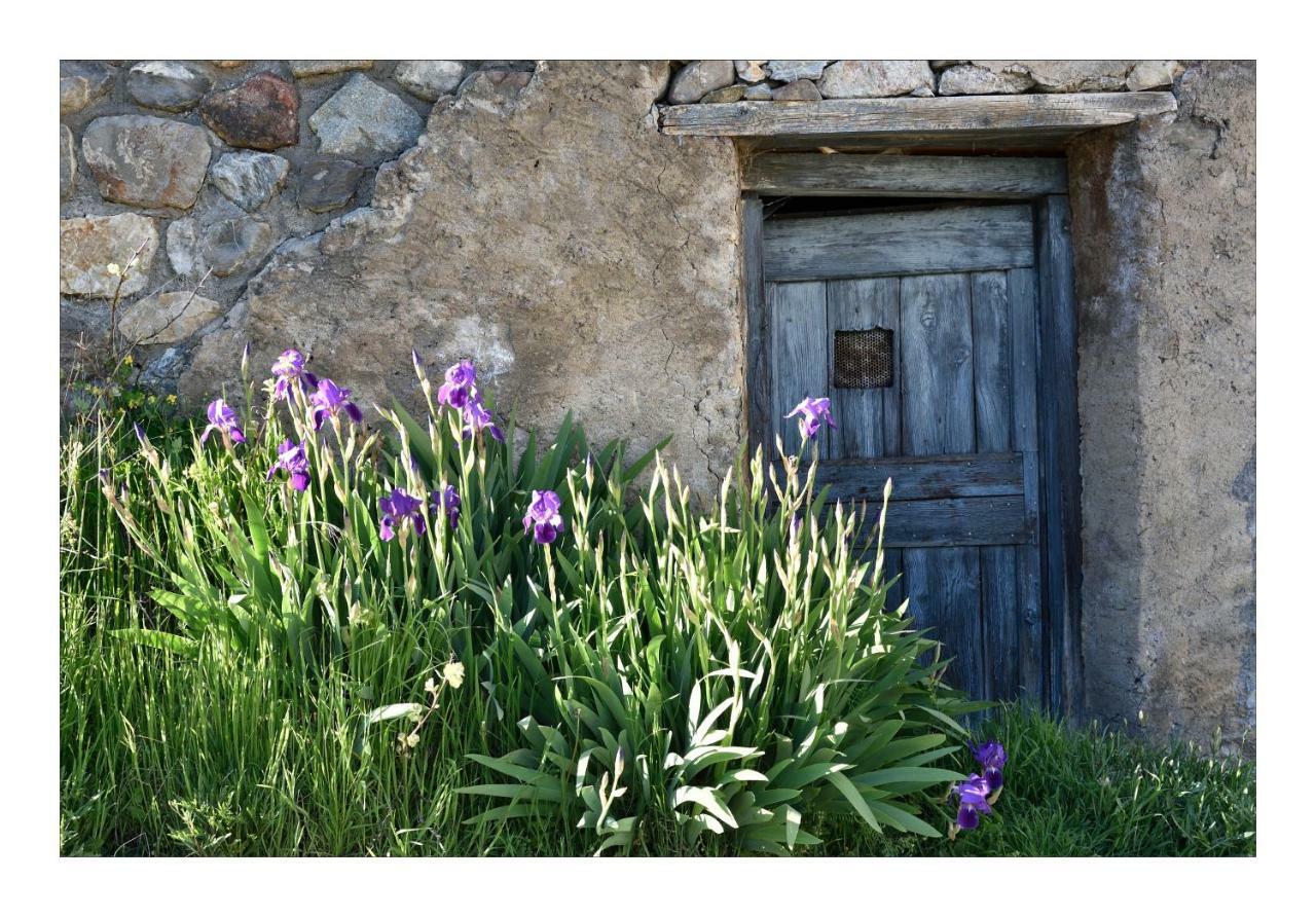La Maison Abeil LʼArgentière-la-Bessée Exterior foto
